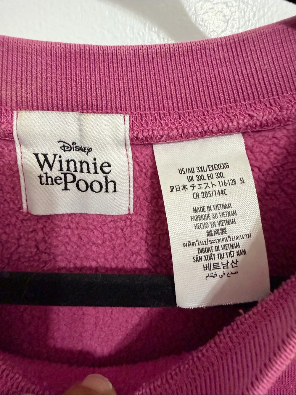 Disney parks Winnie the Pooh piglet embroidered pullover sweatshirt - Picture 4 of 5
